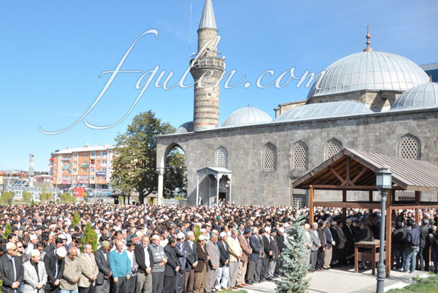 hasbi-gulen29
