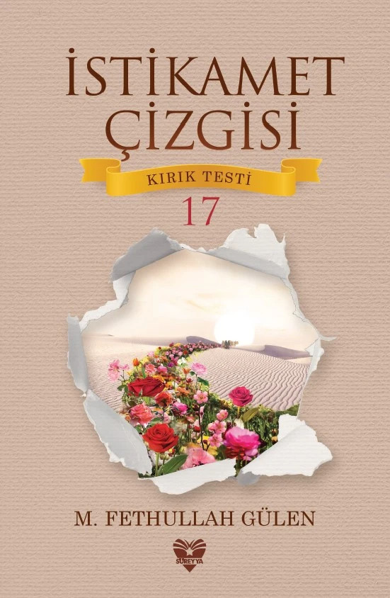 istikamet_cizgisi