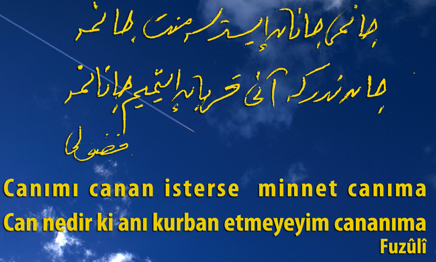 canimi-canan-isterse