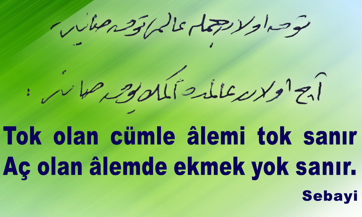 tok-olan-alemi