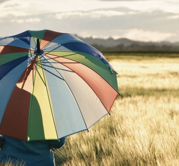 Виднокола релігії